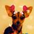 Kimberly Tellez's profile image