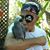Elmer Carrillo's profile image