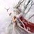 Beth Anderson's profile image