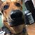 Erick Arriaga's profile image