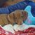 Jeanine Rybicki's profile image