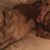 Kris Ickes Cardene's profile image