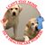 Sara Hottenstein's profile image