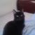 Bud Kittles's profile image