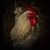 Bess Wills's profile image