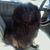 Brenda Bezanson's profile image