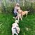 Lucy Lunceford's profile image