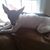 Janice Howard's profile image