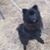 Nanette Heaton Smith's profile image