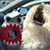Austin Bouffard's profile image