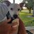 Jackie Raulerson Cardell's profile image