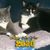 Marcy Hoffman's profile image