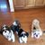 Marcy Kaplan Smith's profile image
