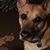 Mary Keeler's profile image