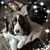 Sharon Bell's profile image