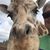 Lynne Bonney's profile image