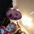Adam Kluga's profile image