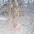 Aline Houssin's profile image