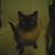 Kathy Lea Spears Bageant's profile image