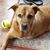 Connie Carlson's profile image