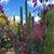Amanda Van Maanen's profile image