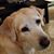 Marcella Coats's profile image