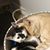 Linda Loucks's profile image