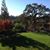 Victoria A. Root Sudderth's profile image