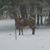 Donna Schmidt-Stiffler's profile image