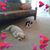 Kathy Knight's profile image