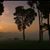 Sariita Navarro's profile image