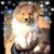 Candice P. Hazen's profile image