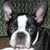 Donna Schultz's profile image