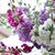 Yolanda Juan Eulogio's profile image
