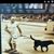 Pete Townsend's profile image