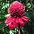 Cynthia Malone Anderson's profile image