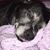Angela Grady's profile image