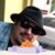 Rob B Campbell's profile image
