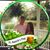 Kris Olive's profile image