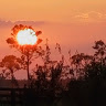 mariluli305's profile image