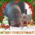 William Horsfall's profile image