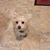 Wendy Matlock's profile image