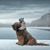 Mary Magie Reade's profile image