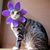 Nancy E. Mitzen's profile image