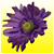 A Hometown Florist's profile image