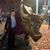 Shawn Jiles's profile image