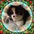Nikki Bonacci Farrell's profile image