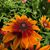 Angelina Hurtado S's profile image