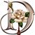 Diana Pérez Negron's profile image