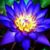 Peace OnceAgain's profile image